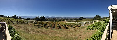 Blauer Himmel über hügeliger Landschaft mit Weibergen des Yarra valleys