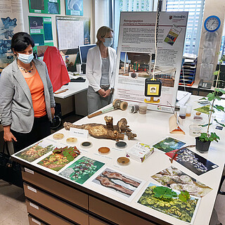 Rundgang im Institut Phytomedizin