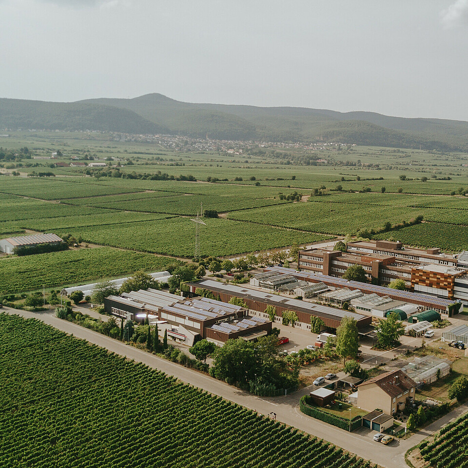 Luftaufnahme des Geländes vom Weincampus Neustadt und des Dienstleistungszentrum Ländlicher Raum (DLR) Rheinpfalz